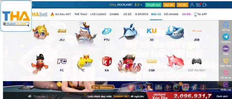 Sảnh săn cá Thabet hợp 