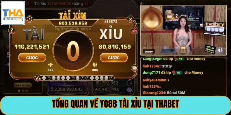 Tổng quan về yo88 tài xỉu tại thabet